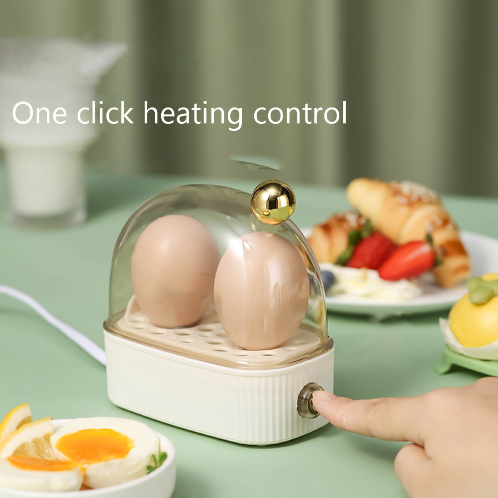 220V Schneller Eierkocher mit  – Egg Cooker Rapid Bewertung und Preis