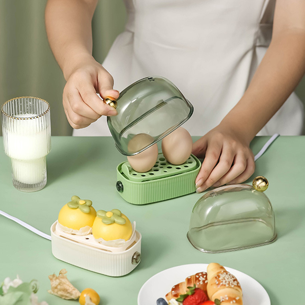 220V Schneller Eierkocher mit  – Egg Cooker Rapid Bewertung und Preis