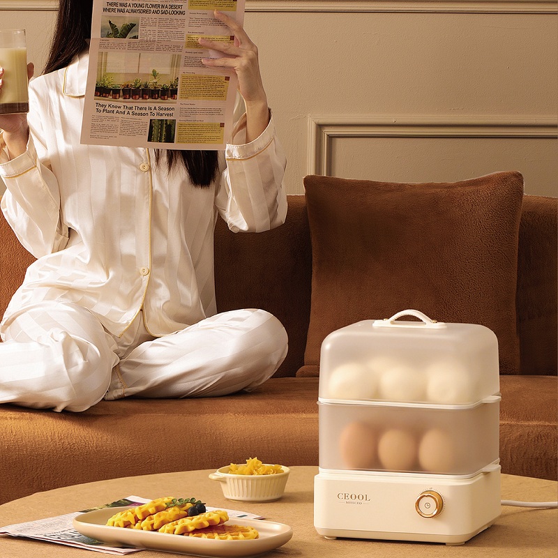 200W Eierkocher mit Doppelschi – Egg Cooker Rapid Bewertung und Preis