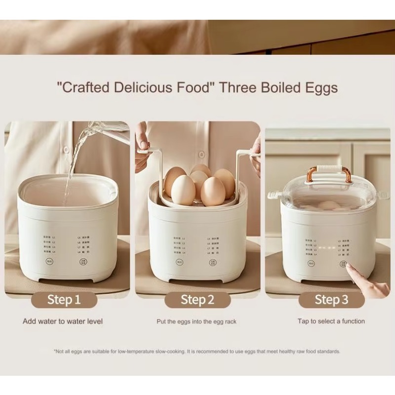 Multifunktionaler Neuer Elektr – Egg Cooker Rapid Bewertung und Preis